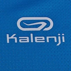 Kalenji MEN'S RUNNING T-SHIRT RUN DRY