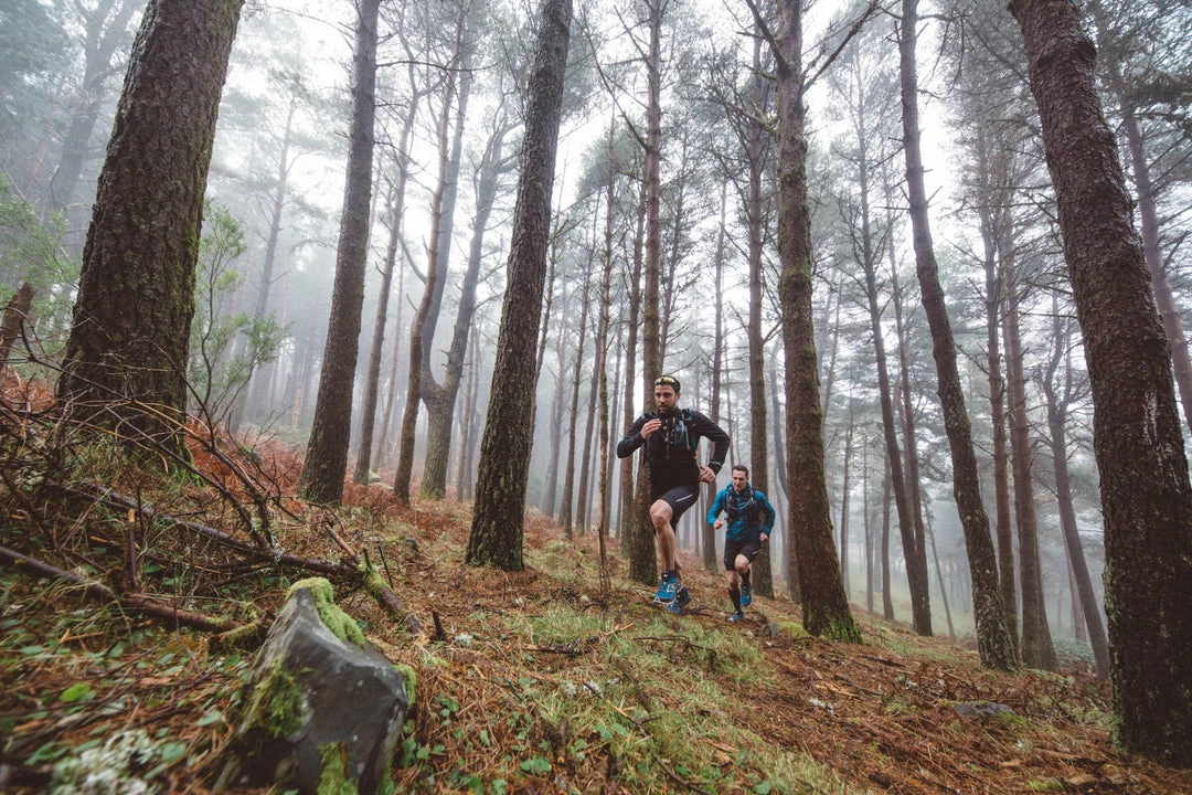 Brand new π Evadict Long Sleeve Trail Running Jersey π― 13 Evadict Long Sleeve Trail Running Jersey