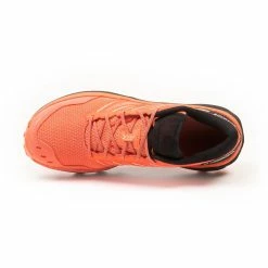 Best Sale ๐งจ Evadict MT Cushion, Trail Running ๐ Shoe, ๐ฉ Women's โญ 21 Evadict MT Cushion, Trail Running Shoe, Women's