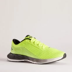 Kiprun KD500, Dynamic Running Shoes, Men's